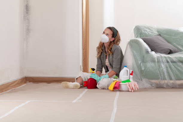 Reliable Mold Inspection And Testing contractor in Cranford, NJ by Mold Remediation HQ